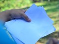 Tn DSC 1901